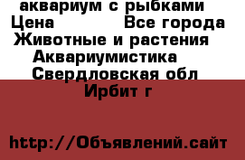 аквариум с рыбками › Цена ­ 1 000 - Все города Животные и растения » Аквариумистика   . Свердловская обл.,Ирбит г.